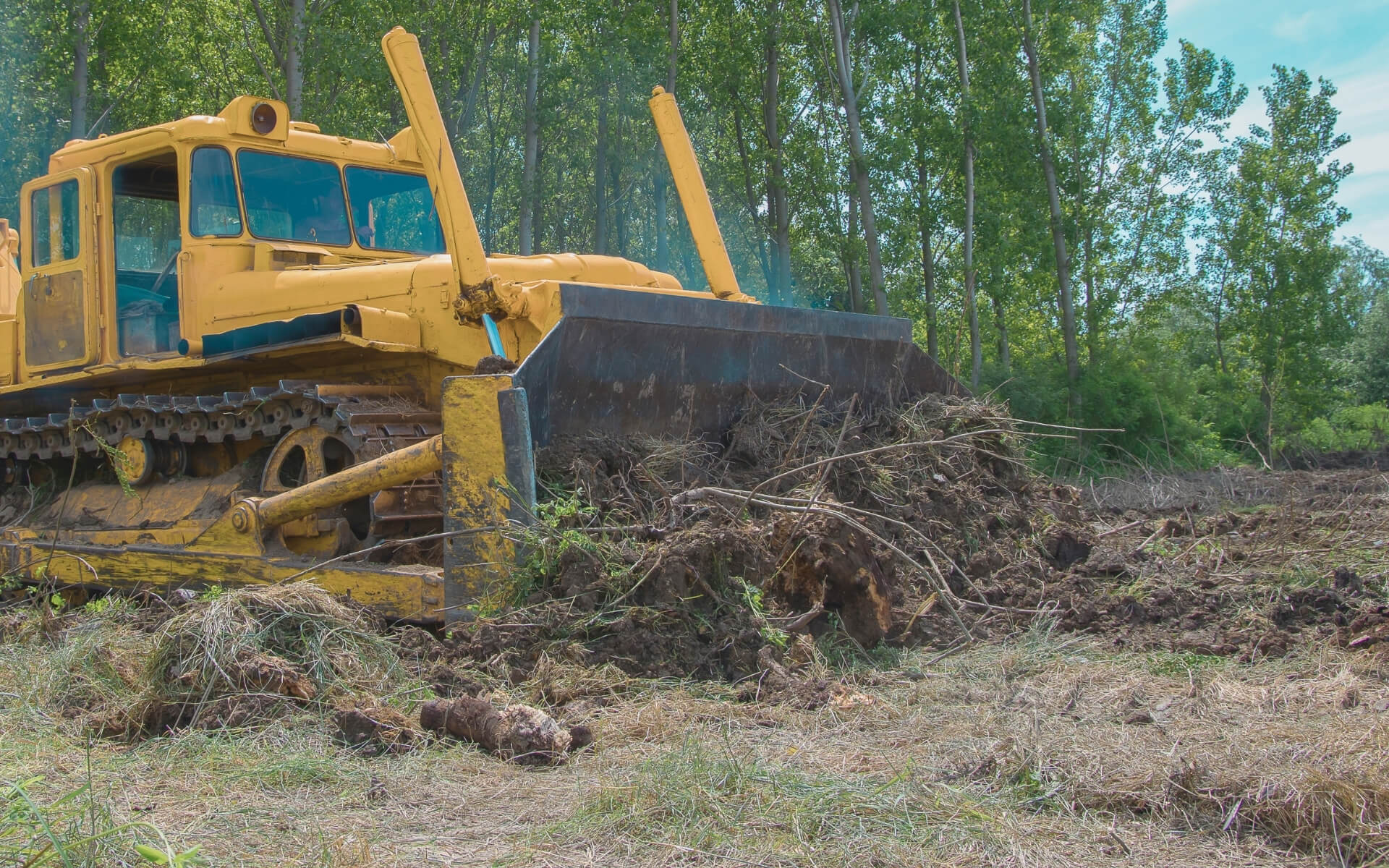land clearing img (2)