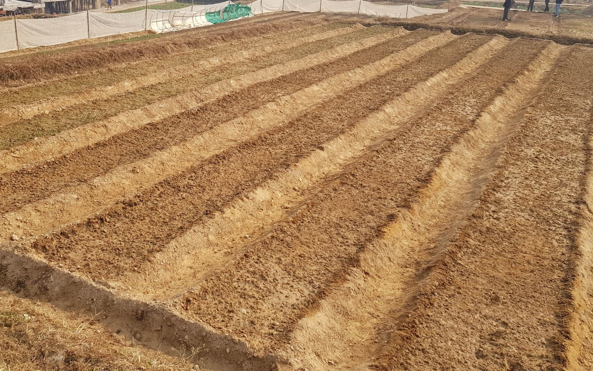 mulching img (2)