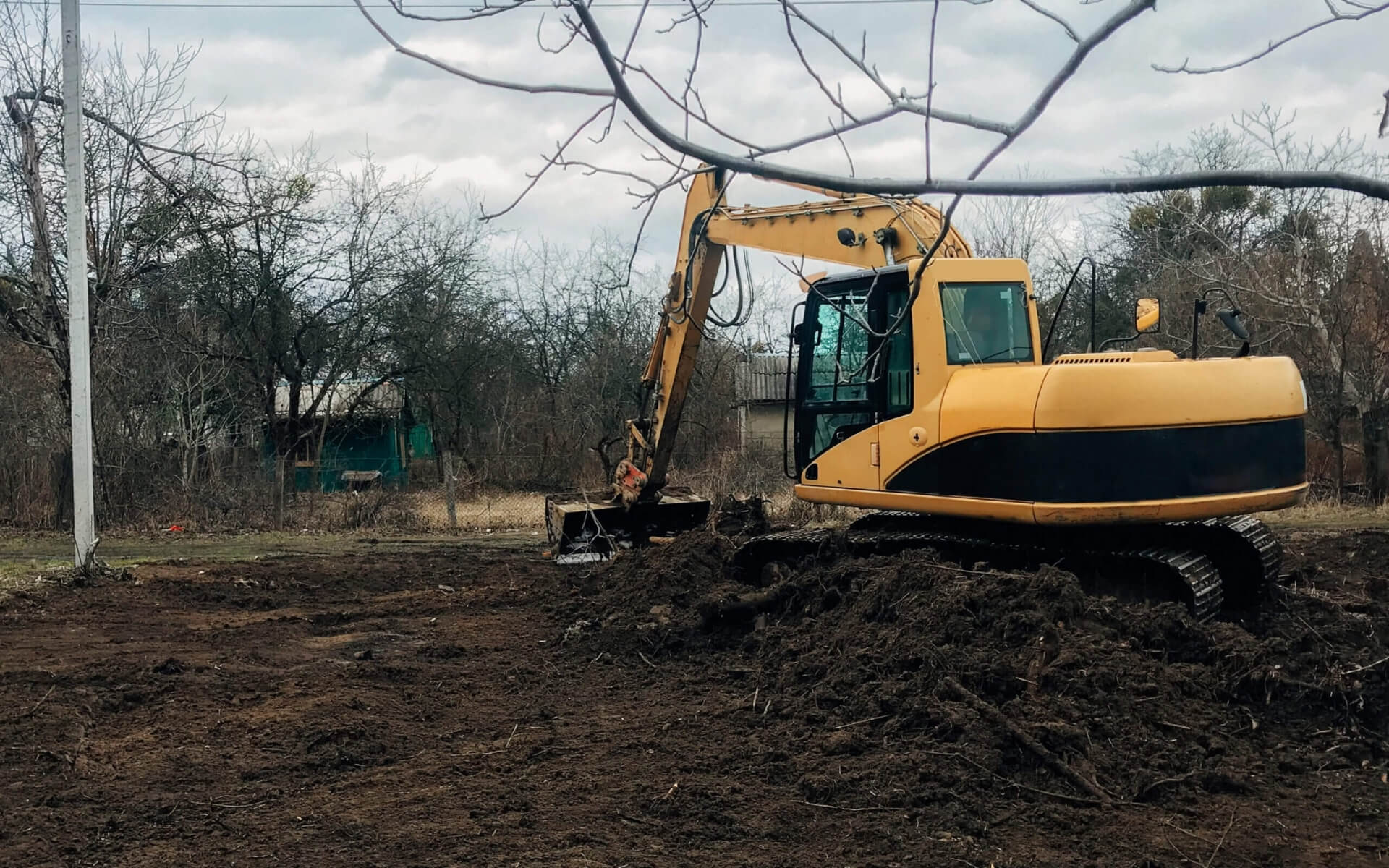 tree services img (4)